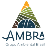 AMBRA – GRUPO AMBIENTAL BRASIL