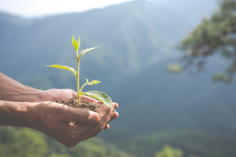 Tendências regulatórias ambientais para 2025: como preparar sua indústria