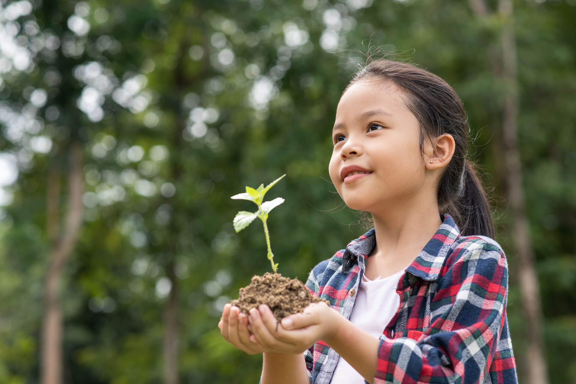 Por que o Dia Mundial do Meio Ambiente deve ser todos os dias na sua empresa?