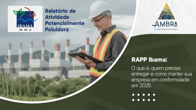 RAPP Ibama: O que é, quem precisa entregar e como manter sua empresa em conformidade em 2025