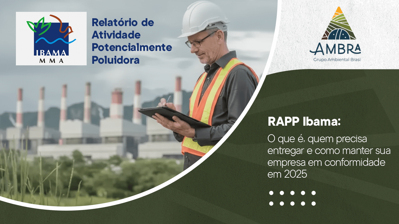 RAPP Ibama: O que é, quem precisa entregar e como manter sua empresa em conformidade em 2025
