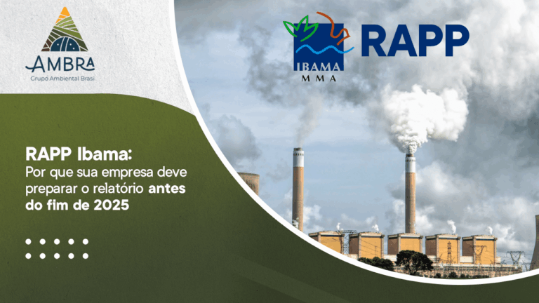 RAPP Ibama: Por que sua empresa deve preparar o relatório antes do fim de 2025