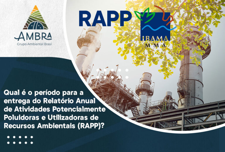 Qual é o período para a entrega do Relatório Anual de Atividades Potencialmente Poluidoras e Utilizadoras de Recursos Ambientais (RAPP)?