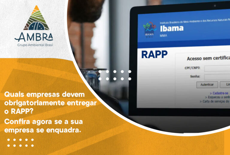 Quais empresas devem obrigatoriamente entregar o RAPP? Confira agora se a sua empresa se enquadra.