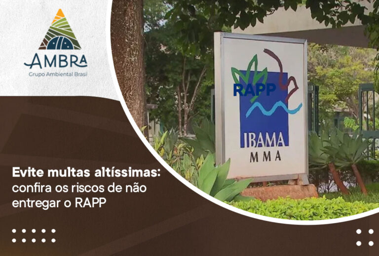 Evite multas altíssimas: confira os riscos de não entregar o RAPP