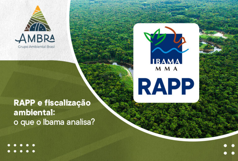 RAPP e fiscalização ambiental: o que o Ibama analisa?
