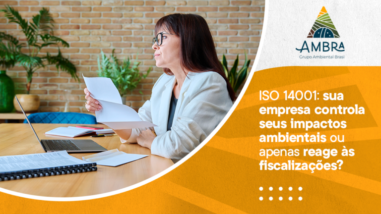 ISO 14001: gestão ambiental como estratégia empresarial