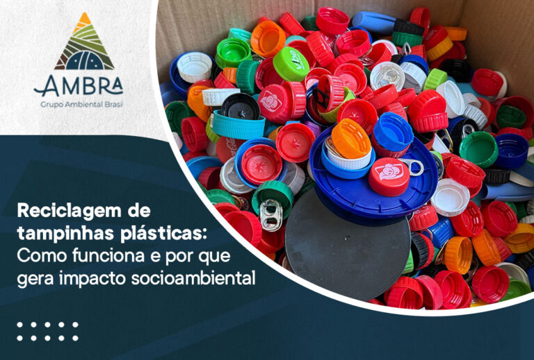 Reciclagem de tampinhas plásticas: como funciona e por que gera impacto socioambiental