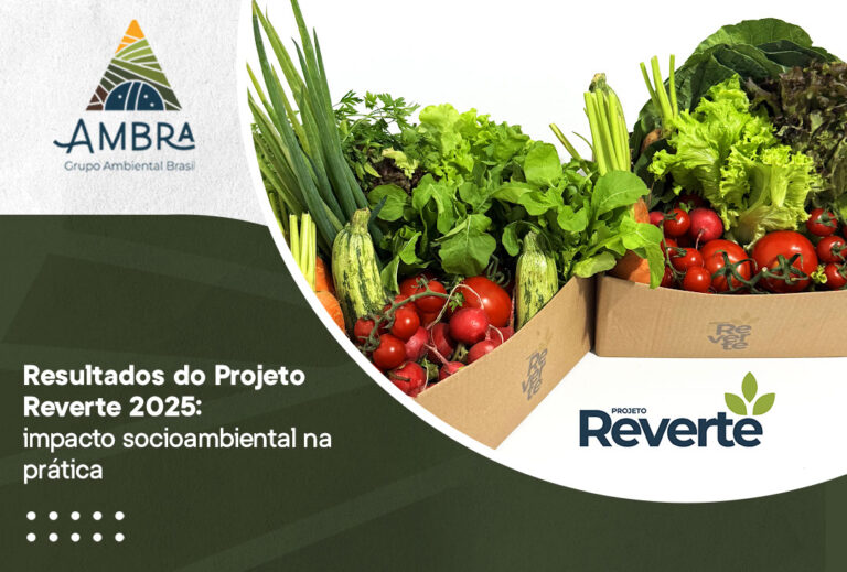 Resultados do Projeto Reverte 2025: impacto socioambiental na prática