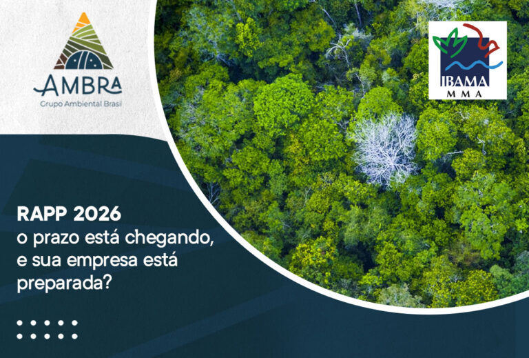 RAPP 2026: o prazo está chegando, e sua empresa está preparada?