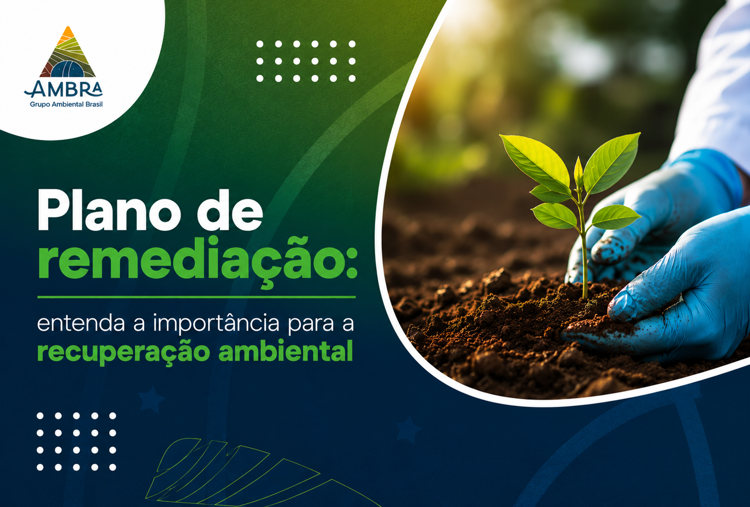 Ambra_-_Blog
